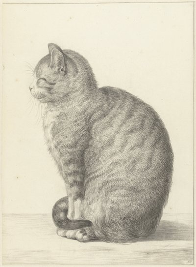 Gatto seduto, verso sinistra da Jean Bernard