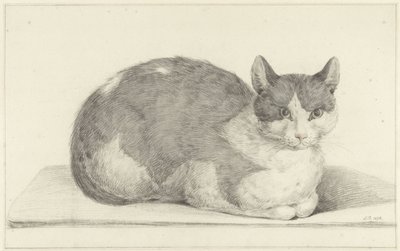 Gatto seduto, verso destra da Jean Bernard