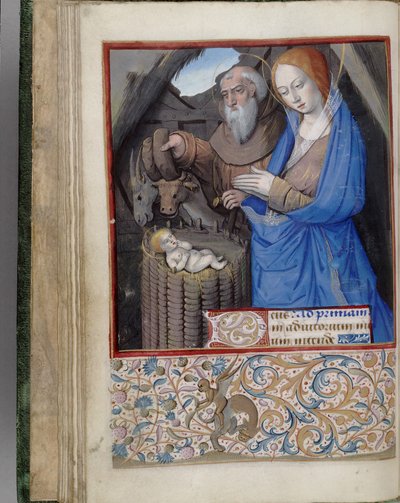 Natività Libro d