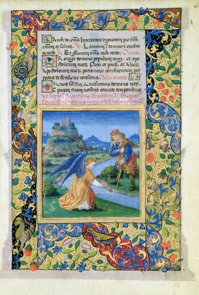 Tobia e l