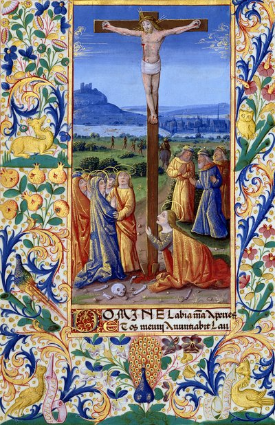 Ms Lat. Q.v.I.126 f.84v La Crocifissione, dal 