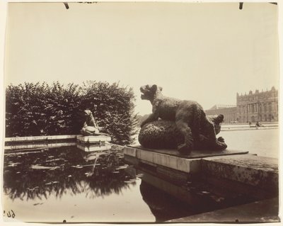 Versailles, Fontaine du Point du Jour, (Tigre Terrassant un Ours di Houzeau) da Jean Eugène Auguste Atget