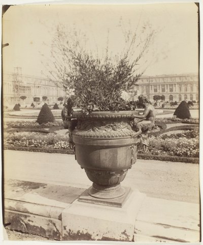 Versailles, vaso di Ballin da Jean Eugène Auguste Atget