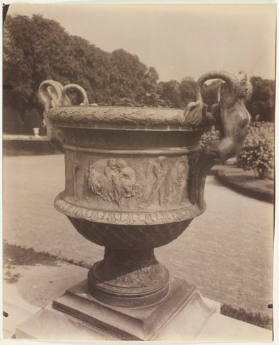 Versailles, vaso di Ballin da Jean Eugène Auguste Atget