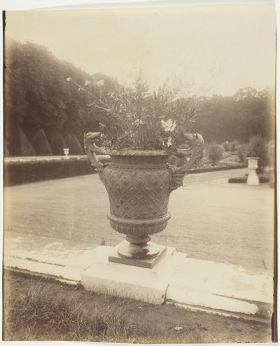 Versailles, vaso di Ballin da Jean Eugène Auguste Atget