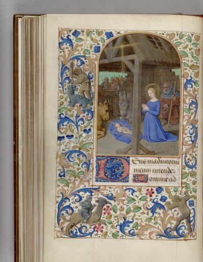 Natività Libro d
