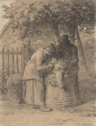 Tosatura delle pecore sotto un albero, c.1854 da Jean Francois Millet