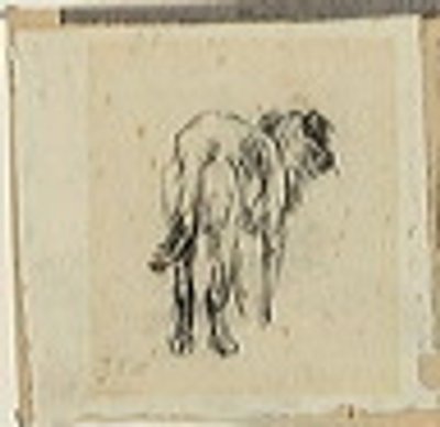 Studio di un cane da Jean Francois Millet