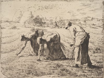 Le spigolatrici, c.1855-56 da Jean Francois Millet