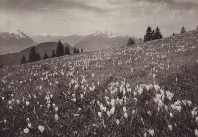 Rigi Kaltbad, Primavera da Jean Gaberell