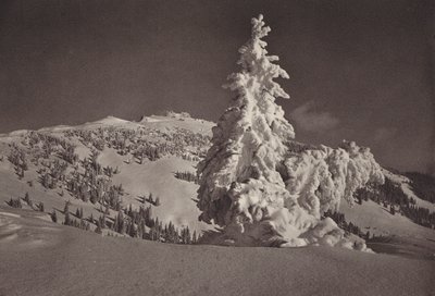 Rigi Kaltbad, Skigelande fino a Rigi Kulm da Jean Gaberell