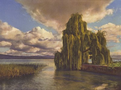Svizzera: Sul Lago di Zurigo da Jean Gaberell