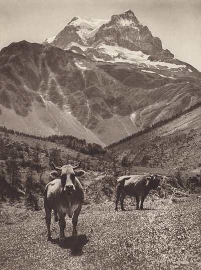 Svizzera: Il Todi da Jean Gaberell