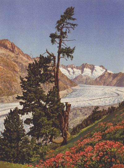 Svizzera: Vista del ghiacciaio dell