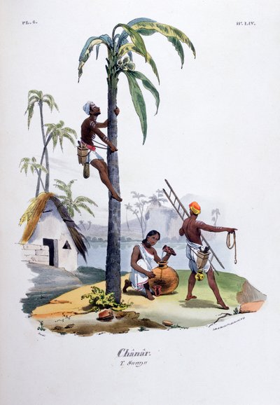 Chanar da Jean Henri Marlet