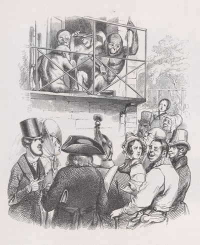 Oranghi da Le opere complete di Béranger, 1836 da Jean Ignace Isidore Gérard