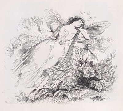 La Silfide dalle Opere Complete di Béranger, 1836 da Jean Ignace Isidore Gérard