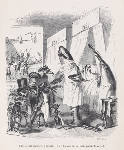 Incideremo i muscoli, segheremo le ossa, in una parola, cureremo i malati da Sc..., ca. 1837-47 da Jean Ignace Isidore Gérard