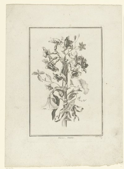 Bouquet di narcisi e convolvoli da Jean Jacques Avril (I)
