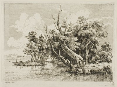 Gruppo di alberi vicino all