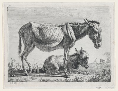 Jenny con il suo puledro, 1797 da Jean Jacques de Boissieu