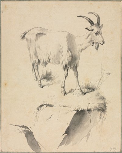 Studio di una capra da Jean Jacques de Boissieu