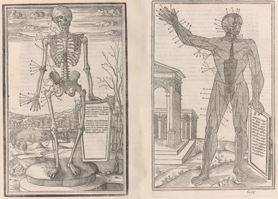 De dissectione partium corporis humani libri tres da Jean Jollat
