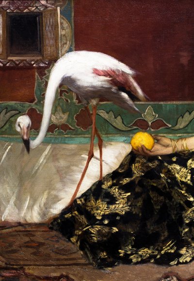 Il fenicottero rosa (particolare) da Jean Joseph Benjamin Constant