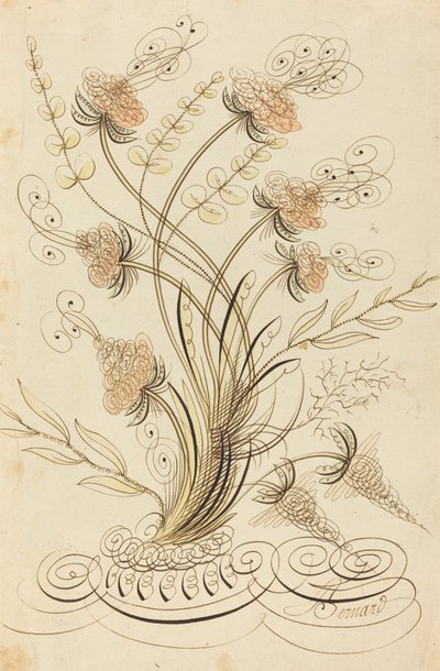 Fiori calligrafici da Jean Joseph Bernard called Bernard de Paris