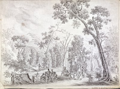 Raccolta di chiodi di garofano a La Reunion, inizio XIX secolo da Jean Joseph Patu de Rosemont