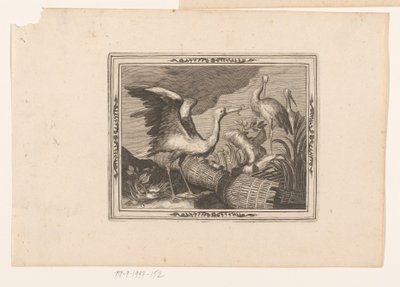 Cicogne (Rappresentazioni di animali) da Jean Leclerc