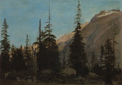 Paesaggio alpino: La Handegg, Svizzera da Jean Leon Gerome