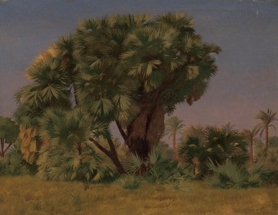 Studio di Palme, probabilmente 1868 da Jean Leon Gerome