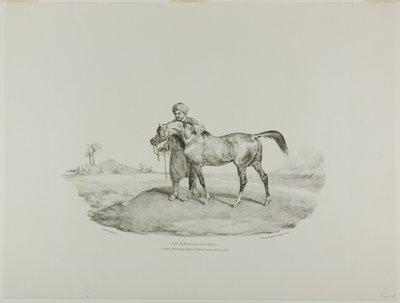Un cavallo arabo, tavola 8 da Vari soggetti disegnati dal vero e su pietra (The English Suite) da Jean Louis André Théodore Géricault