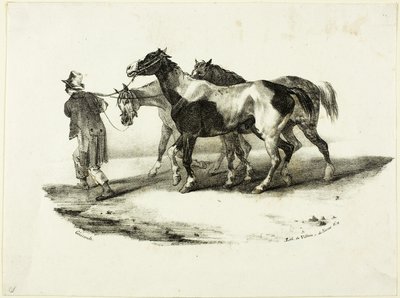 Cavalli condotti allo scuoiatore da Jean Louis André Théodore Géricault