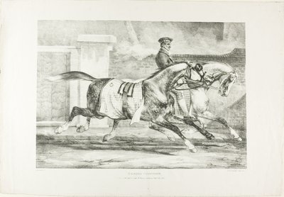 Cavalli in esercizio, tavola 6 da Vari soggetti disegnati dal vero su pietra da Jean Louis André Théodore Géricault