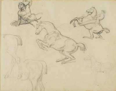 Schizzi: Nudo sdraiato, cavaliere e vari cavalli da Jean Louis André Théodore Géricault
