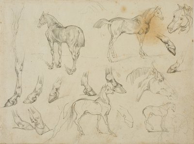 Schizzi di un cavallo da Jean Louis André Théodore Géricault
