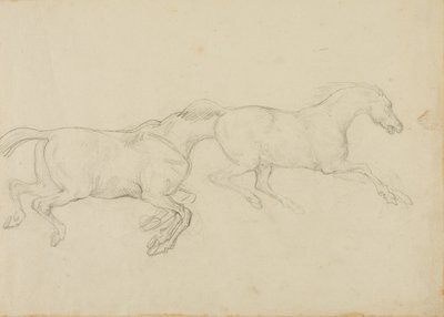 Due cavalli al galoppo verso destra da Jean Louis André Théodore Géricault
