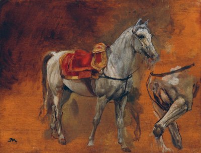 Studi di un cavallo bianco da Jean Louis Ernest Meissonier