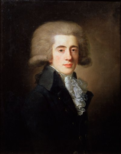 Ritratto del Vice-cancelliere Nikita Panin, 1770-1837, 1792 da Jean Louis Voille