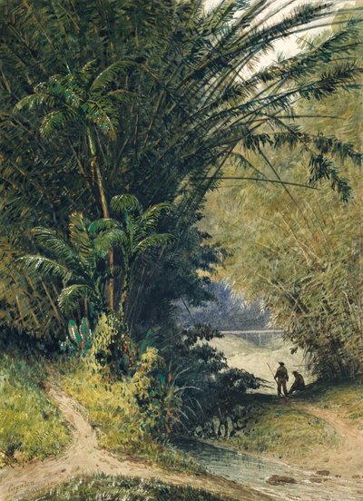 Un boschetto di bambù a Trinidad da Jean Michel Cazabon