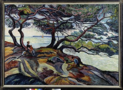 Le isole di Hyeres da Capo Brenat da Jean Misceslas Peske