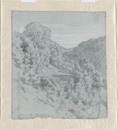 Alberi illuminati dal sole in una valle vicino a Lacoux da Jean Paul Flandrin