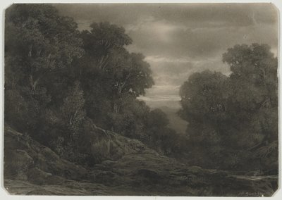Paesaggio con alberi da Jean Philippe George