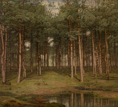 Bosco di Abeti a Putte da Jean Pierre Francois Lamoriniere