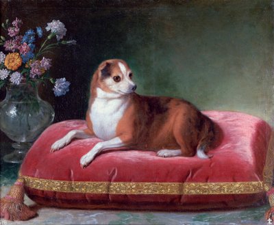 La cagna su un cuscino, c1694-1735 da Jean Ranc