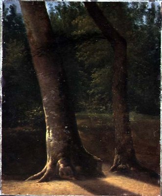 Studio di alberi, c.1815 da Jean Victor (attr. to) Bertin