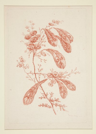 Senza Titolo (Fiori Ideali), da un set di sei da Jeanne Deny