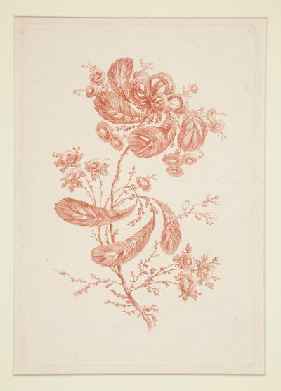 Senza Titolo (Fiori Ideali), da un set di sei da Jeanne Deny